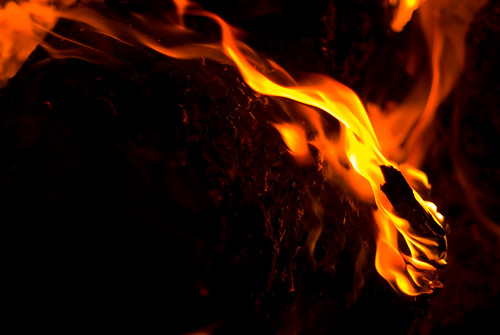 red arizona abstract fire young campfire