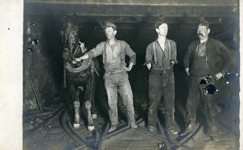 Coal miners and mule