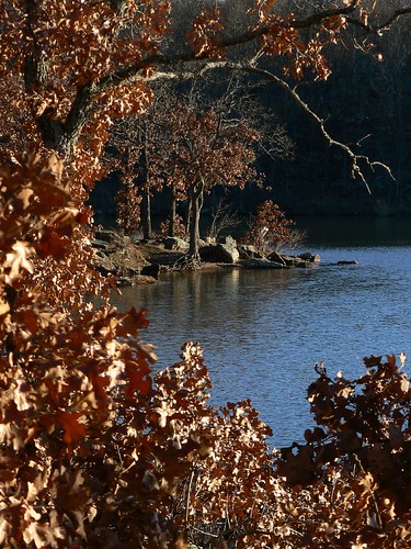 winter fall oklahoma leaves landscape c scenic okmulgee okmulgeelake