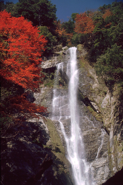 Kouyou Maple at Sendantodoro-no-taki　栴壇轟の滝 八代 紅葉