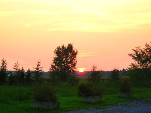 sunset summer field champs 2006 été coucherdusoleil mimosamichemichelle michellebéchardlalonde ✿img2787mf ⌘⌘montérégie ⌘saintmarcsurrichelieu ⌘⌘rivesudsouthshore ⌘⌘⌘⌘canada ⌘⌘⌘québec