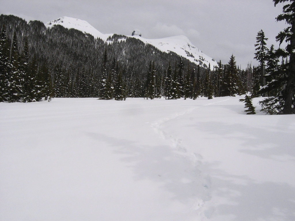 Garibaldi Lake Snowshoe, 21 Apr 2007