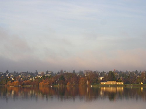 trees water sunrise buildings reflections greenlake