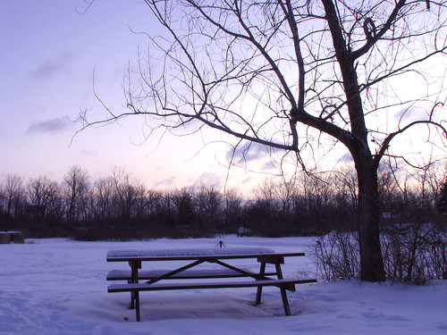 snow tree nature sunrise availablelight picnictable photooftheday
