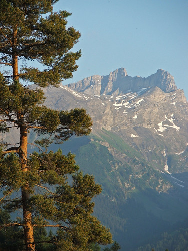 sunset alps pine alpes landscape switzerland landscapes suisse swiss paysage paysages worthy topcropspigoo