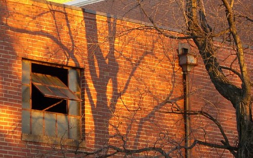 sunset shadow tree brick window virginia fredericksburg