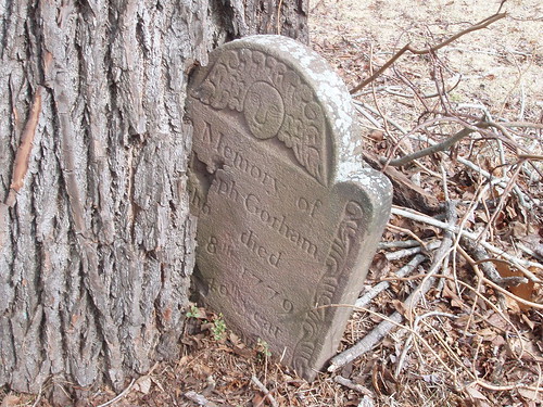 favorite headstone tombstone gravestone westportct treeseatingthings greensfarmslowercemetery ebedded 3533views