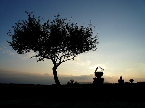 sunset sky tree portugal silhouette zonsondergang searchthebest boom ciel hedge haag alentejo arbre hemel marvão heg coucherdusoleil haie serradesãomamede