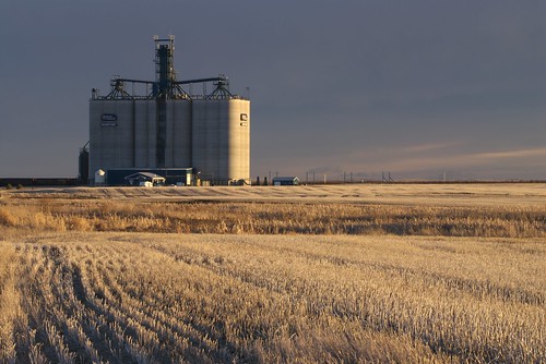 canada calgary field train nikon wheat elevator grain sigma structure alberta 50500 prairie d200