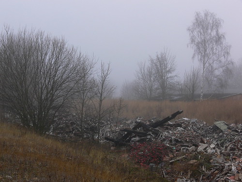 nature fog dark panasonic land rubble dmcfz30 mansfelder