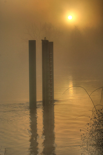 trees fog sunrise river shadows pole