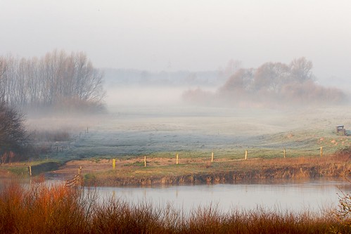 morning nature fog river germany landscape nebel natur feld wiese landschaft morgen verden niedersachsen aller