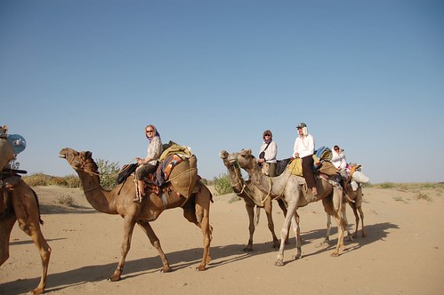 Camel Parade