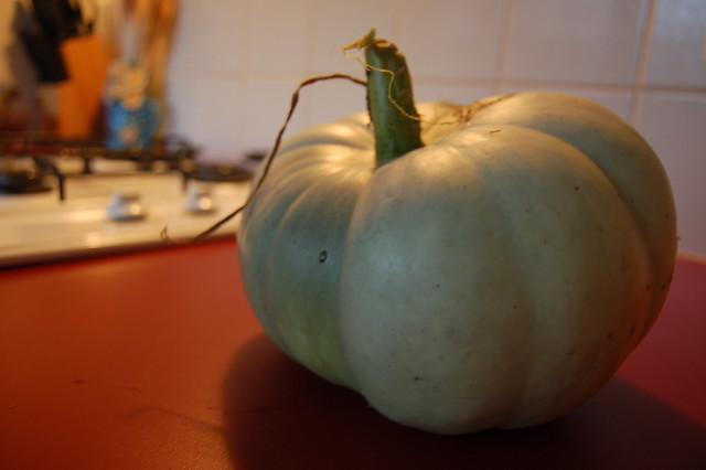 and i grew a pumpkin