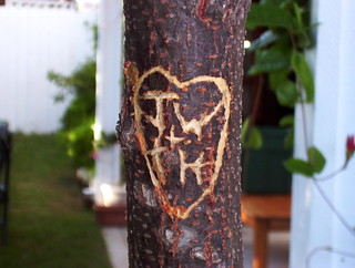 Tree hearts