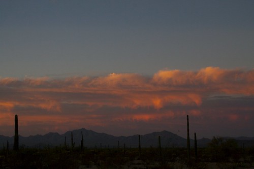 day2 sunrise desert springbreak07