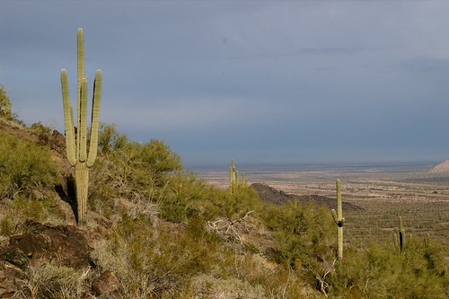desert hike vista picachopeak