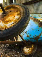rusted wheelbarrow