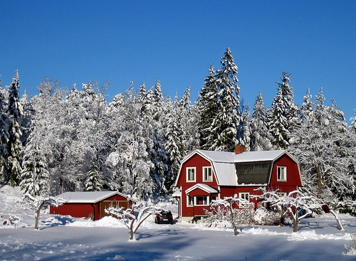 trees winter red snow canon geotagged sweden tungelsta bergdalen haninge tungelstavägen fridhem winterinsweden geo:lat=59117187 geo:lon=18061652 swedishcalendar moopostcard tungelstavägen118