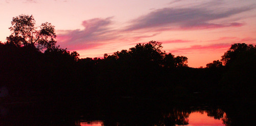 pink trees sunset sky orange black reflection water clouds reflections river outside outdoor reflect lpncchallenges lpncchallenge6