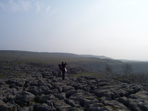 In a field of limestone