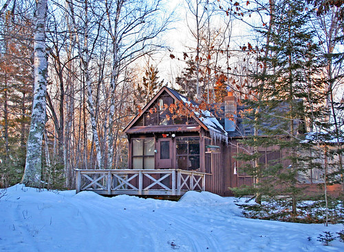trees winter snow nature wisconsin outdoors cabin mercer upnorth nature55 wowiekazowie