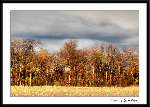 trees storm clouds forest landscape evening countryside spring seasons country gray indiana land d200 nikkor 18200mmf3556gvr countryroadsphoto