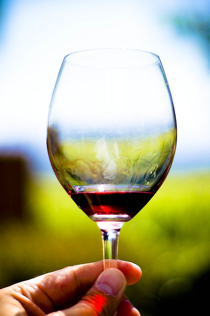 glass of wine analysis