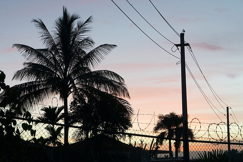 silhouette sunrise puertorico powerlines palmtree barbwire