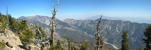 mountain geotagged san peak trail pines bernardino sanbernardino limber geotaggedtours washingtonsmonument