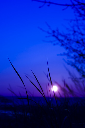 blue sunset sun lake colour beach grass dark huron lakehuron saublebeach