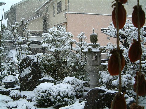 winter snow home japan garden view aichi kasugai もらいもの