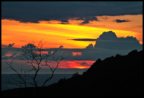 sunset red sky italy panorama tree clouds landscape italia tramonto nuvole branches romance cielo albero rosso rami tirreno tuscolo valerioi didinto salomone