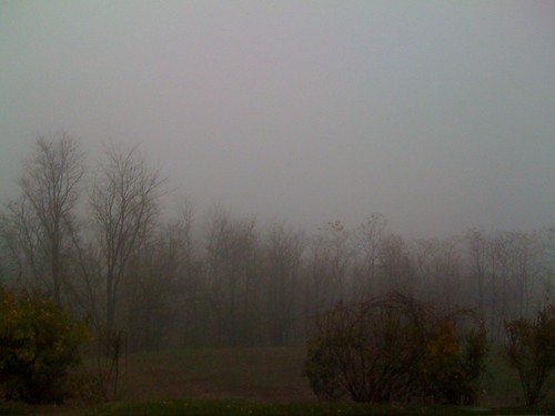 fog unitedstates maryland iphone weatherbug cockeysville 51f airme