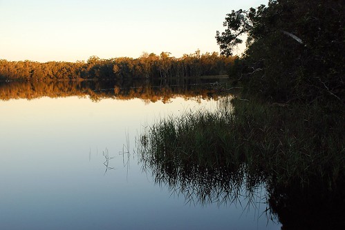water reflections reeds landscape lakes australia newsouthwales 500 popular myalllakesnationalpark billdoyle mytopforty