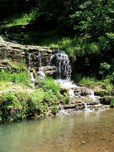 trip nature water waterfall stream missouri familyvacation dogwoodnaturepark