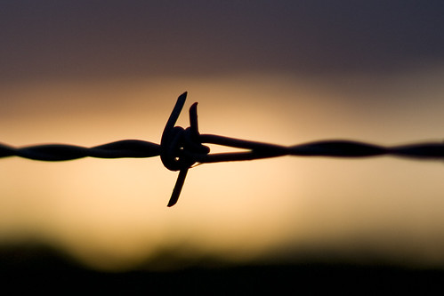 sunset barbedwire simple