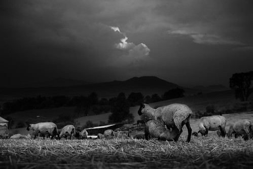 storm clouds rural landscape mexico df sheep feeding paisaje nubes tormenta tlalpan alimentando ovejas