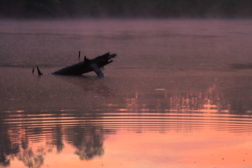 morning reflection nature water fog catchycolors landscape ilovenature pond louisiana mrgreenjeans gaylon gaylonkeeling