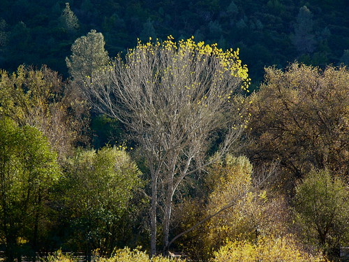 longviewroad countyoflake ca ranch view trees autumn
