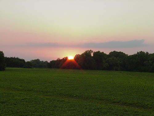 sunset scribner nebraska soybean