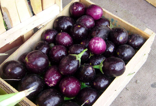 mini eggplants
