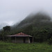 Abandonned cabin in Martinique