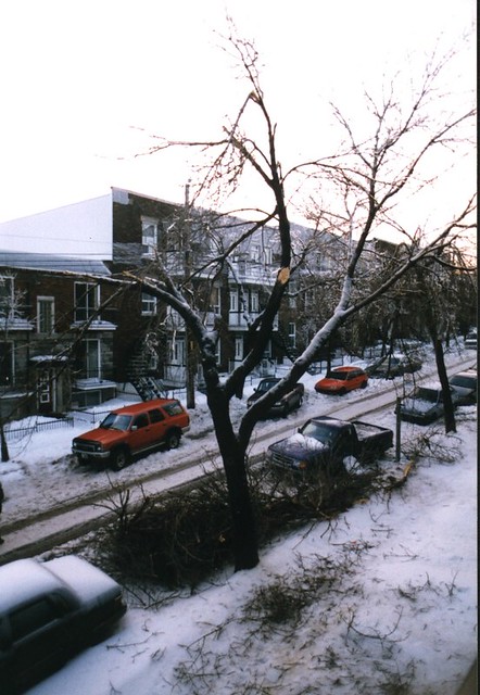 Le grand verglas Montréal (1998)