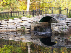 Little Bridge at High Park