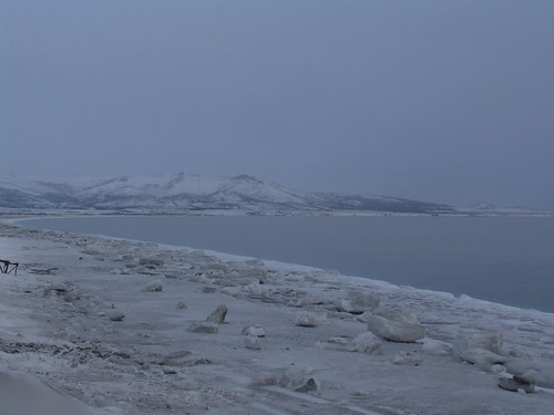 sea cold ice coast