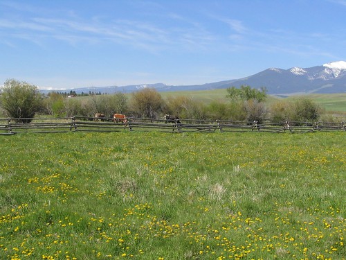 deerlodge grantkohrsranch montana ranching rockies