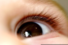 sequoia's eye and baby eyelashes    MG 5456 