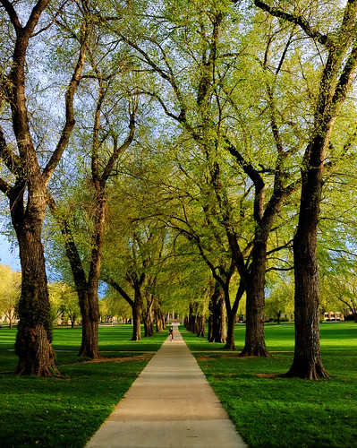 trees green landscape vanishingpoint spring colorado seasons fort path fortcollins tunnel narnia co collins oval csu 2007 coloradostateuniversity 50faves instantfave outstandingshots flickrsbest clff abigfave flickrgold superbmasterpiece goldenphotographer