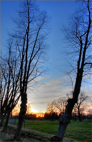 sky tree germany landscape sundown hamburg hdr earlyspring ammersbek